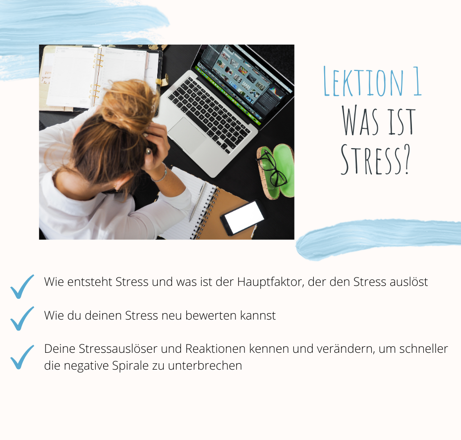 Onlinekurs bei Stress. Anna Manuilova