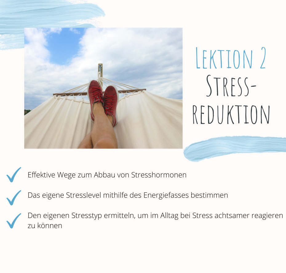 Onlinekurs bei Stress. Anna Manuilova