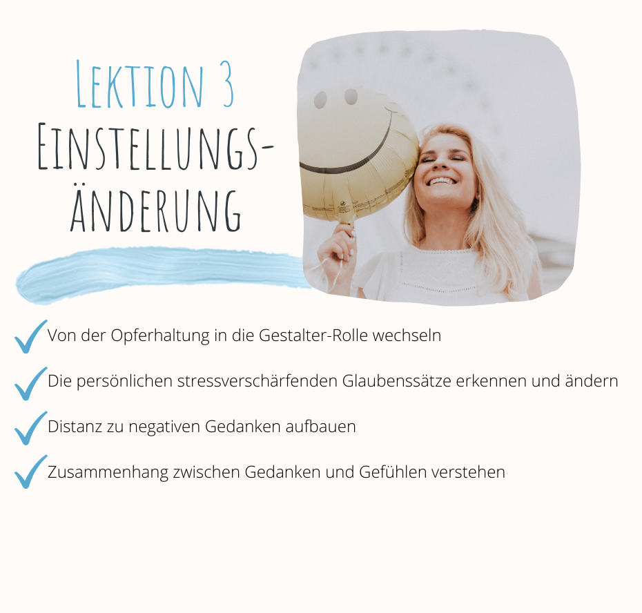 Onlinekurs bei Stress. Anna Manuilova